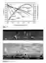 Fig. 05 - Process of Making Ceria-Based Electrolyte Coating