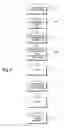 Fig. 04 - Method for making shapeable microcellular poly lactic acid articles