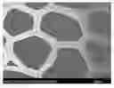 Fig. 01 - MICROSTRUCTURED MATERIAL AND PROCESS FOR ITS MANUFACTURE