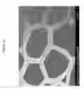 Fig. 03 - MICROSTRUCTURED MATERIAL AND PROCESS FOR ITS MANUFACTURE