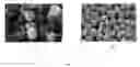 Fig. 02 - POLYURETHANE NANOMETER POWDER OF WHICH SURFACE IS MODIFIED WITH PHOSPHORIC ACID AND ITS PREPARATION METHOD