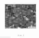 Fig. 03 - Core-Shell Type Cobalt Oxide Microparticle or Dispersion Containing the Microparticle, and Production Process and Use of the Microparticle or the Dispersion