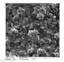 Fig. 01 - Spinulose titanium nanoparticulate surfaces