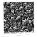 Fig. 13 - Spinulose titanium nanoparticulate surfaces