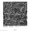 Fig. 19 - Spinulose titanium nanoparticulate surfaces