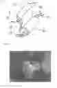 Fig. 03 - POSITIVE ELECTRODE ACTIVE ELEMENT AND LITHIUM SECONDARY BATTERY
