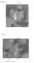 Fig. 04 - POSITIVE ELECTRODE ACTIVE ELEMENT AND LITHIUM SECONDARY BATTERY