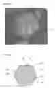 Fig. 05 - POSITIVE ELECTRODE ACTIVE ELEMENT AND LITHIUM SECONDARY BATTERY