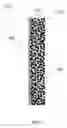 Fig. 02 - ELECTRODES WITH SOLID POLYMER ELECTROLYTES
