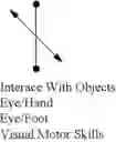 Fig. 08 - Educational System for Directionality Enhancement