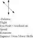 Fig. 09 - Educational System for Directionality Enhancement