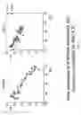 Fig. 23 - Differential amplification of mutant nucleic acids by PCR in a mixture of nucleic acids