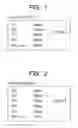 Fig. 02 - Probe, probe set, probe-immobilized carrier, and genetic testing method