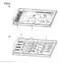 Fig. 03 - SEPARATION PURIFICATION METHOD AND MICROFLUIDIC CIRCUIT