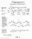 Fig. 03 - Detection of nucleic acids by type-specific hybrid capture method
