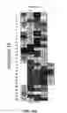 Fig. 37 - METHOD FOR DETECTION OF PRE-NEOPLASTIC FIELDS AS A CANCER BIOMARKER IN ULCERATIVE COLITIS
