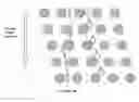 Fig. 04 - FETAL ANEUPLOIDY DETECTION BY SEQUENCING