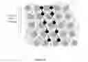 Fig. 06 - FETAL ANEUPLOIDY DETECTION BY SEQUENCING