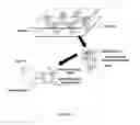 Fig. 08 - FETAL ANEUPLOIDY DETECTION BY SEQUENCING