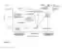 Fig. 21 - FETAL ANEUPLOIDY DETECTION BY SEQUENCING