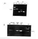 Fig. 01 - Method of profiling gene expression in a subject undergoing a treatment
