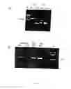 Fig. 02 - Method of profiling gene expression in a subject having diabetes