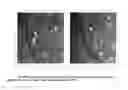 Fig. 01 - RAPID STERILITY MICROASSAY