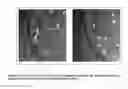 Fig. 05 - RAPID STERILITY MICROASSAY