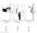 Fig. 02 - Method and kit for detection of autoimmune chronic urticaria