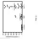 Fig. 04 - Method and kit for detection of autoimmune chronic urticaria