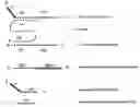Fig. 01 - Methods and compositions for nucleic acid amplification