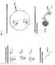 Fig. 03 - Methods and compositions for nucleic acid amplification