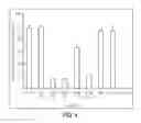 Fig. 05 - Methods for producing interfering RNA molecules in mammalian cells and therapeutic uses for such molecules