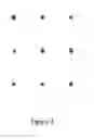 Fig. 04 - NANOPARTICLE-MEDIATED SIGNAL AMPLIFICATION