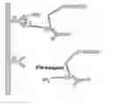 Fig. 01 - DIAGNOSIS SYSTEM FOR DETERMINING THE BIOLOGICALLY EFFECTIVE PARATHYROID HORMONE ACTIVITY IN A SAMPLE