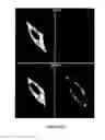 Fig. 26 - Linked peptides fluorogenic biosensors