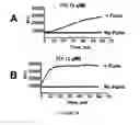 Fig. 32 - Linked peptides fluorogenic biosensors