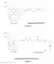 Fig. 04 - Hapten, Immunogens and Derivatives of Ascomycin Useful for Preparation of Antibodies and Immunoassays