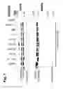 Fig. 08 - Chimeric PCSK9 proteins, cells comprising same, and assays using same