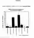 Fig. 05 - NUCLEOTIDE AND PROTEIN SEQUENCE OF MAMMASTATIN AND METHODS OF USE