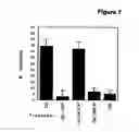 Fig. 08 - NUCLEOTIDE AND PROTEIN SEQUENCE OF MAMMASTATIN AND METHODS OF USE
