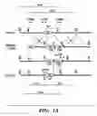 Fig. 02 - METHODS FOR PRODUCTION OF ATRIAL PROGENITORS AND THEIR DIFFERENTIATION INTO SMOOTH MUSCLE CELLS AND CARDIOMYOCYTES