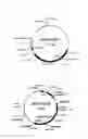 Fig. 04 - Method for producing a cell for protein production by treating a cell overexpressing a taurine transporter with methotrexate
