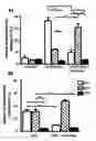 Fig. 01 - Methods for increasing the therapeutic efficacy of immunoglobulin G class 3 (IgG3) antibodies