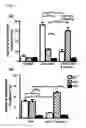 Fig. 02 - Methods for increasing the therapeutic efficacy of immunoglobulin G class 3 (IgG3) antibodies
