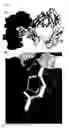 Fig. 05 - Methods for increasing the therapeutic efficacy of immunoglobulin G class 3 (IgG3) antibodies