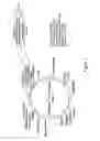 Fig. 04 - ANTIBODIES WITH ENHANCED ADCC FUNCTION