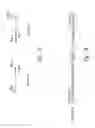 Fig. 04 - Pathogenic associated protein