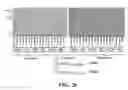 Fig. 53 - Conjugates of biomolecules to nanoparticles