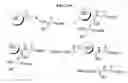 Fig. 59 - Conjugates of biomolecules to nanoparticles